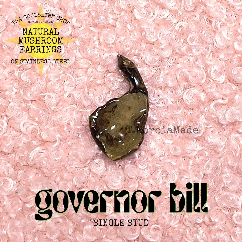 Governor Bill Natural Mushroom Single Stud Earring